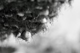 dailyPhoto2